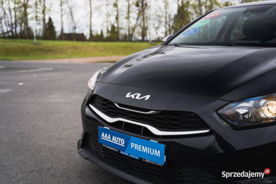 Kia Ceed 15 TGDI MHEV Zabrze