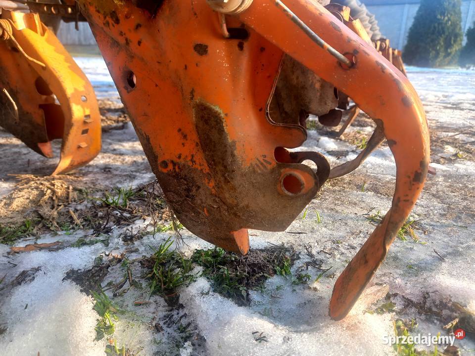 Siewnik Amazone D7 SuperS nie poznaniak hassia Izbica Kujawska