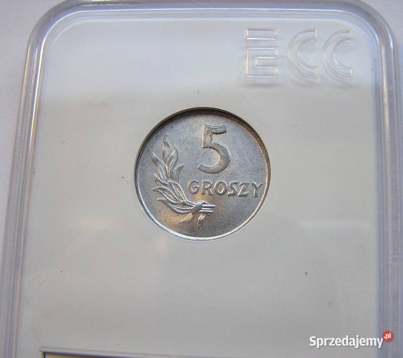 Polska 5 gr 1949 r bz Stan I UNC MS 65 w slabie Rydzyna