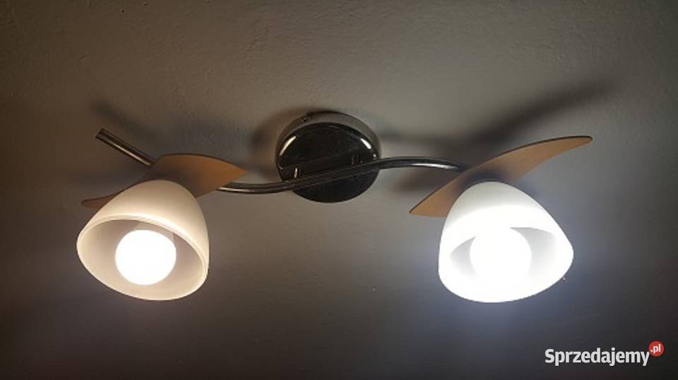 Lampa sufitowa dwu punktowa Bratkowice