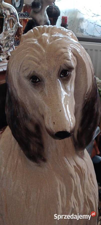 CHARTA AFGAŃSKI CONTINETNTAL POWOJENNY MODEL 83 Swarzędz