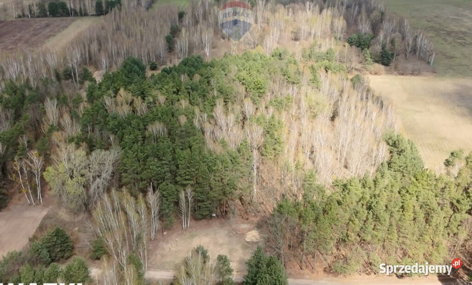 Działki budowlane zbuduj dom w lesie utwardzona