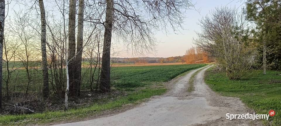 Siedlisko 4000m2 Skomorochy Duże