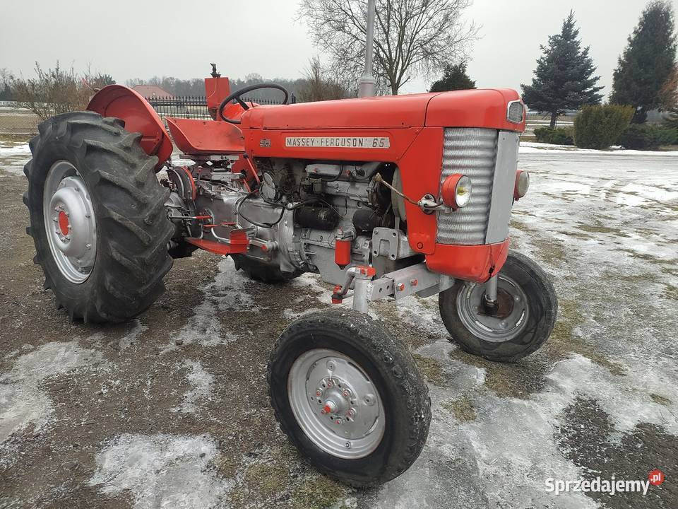 Ferguson M F 65 Łubno