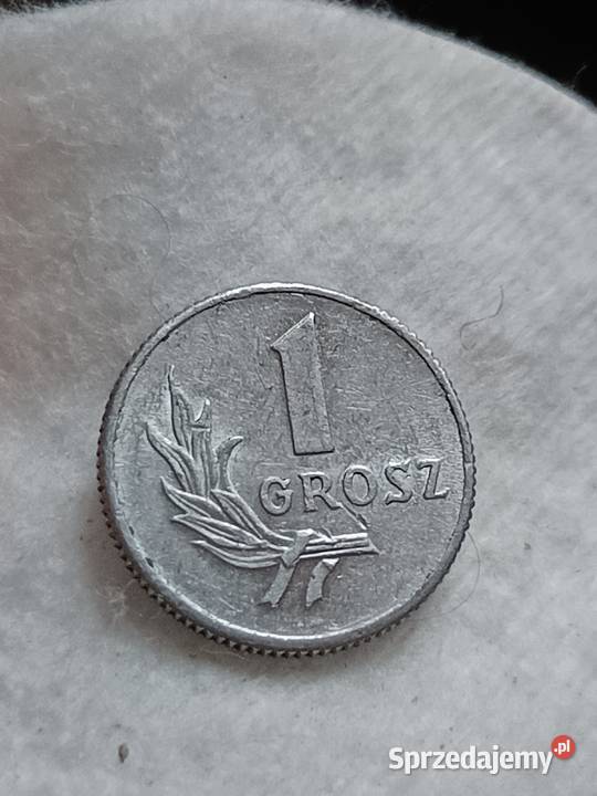 Sprzedam monete 1 grosz 1949 Numizmatyka lubelskie Chełm