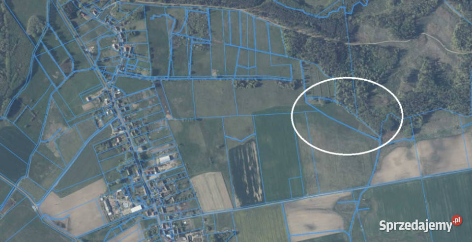 147 ha 14700m2 Ognica sprzedam