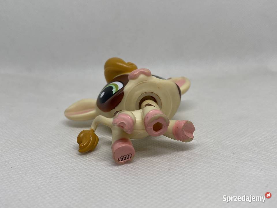 LPS Littlest pet shop krowa 1457 Figurki łódzkie Łódź sprzedam