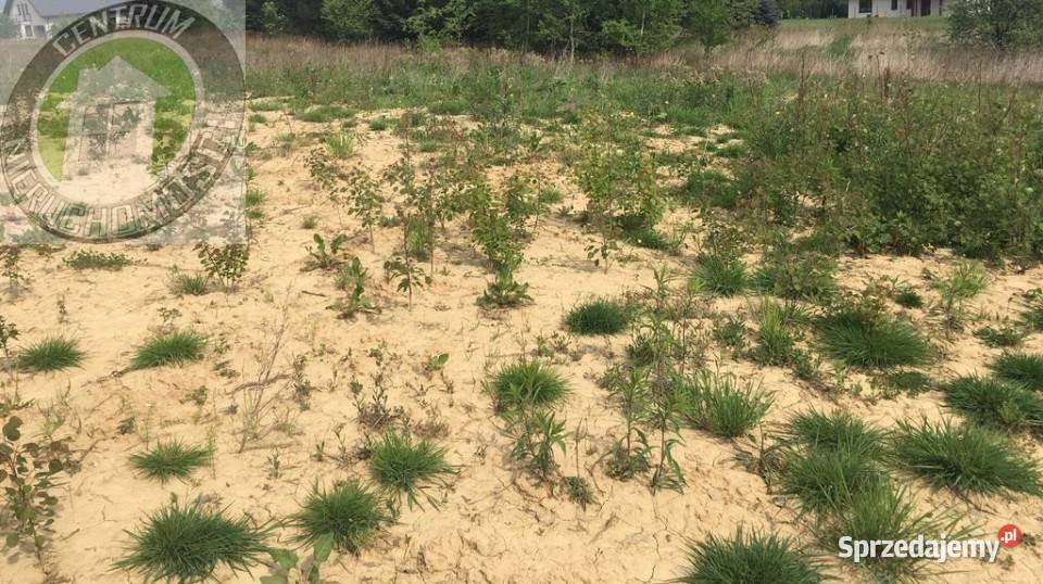 Działka 902 metry Nowy Sącz