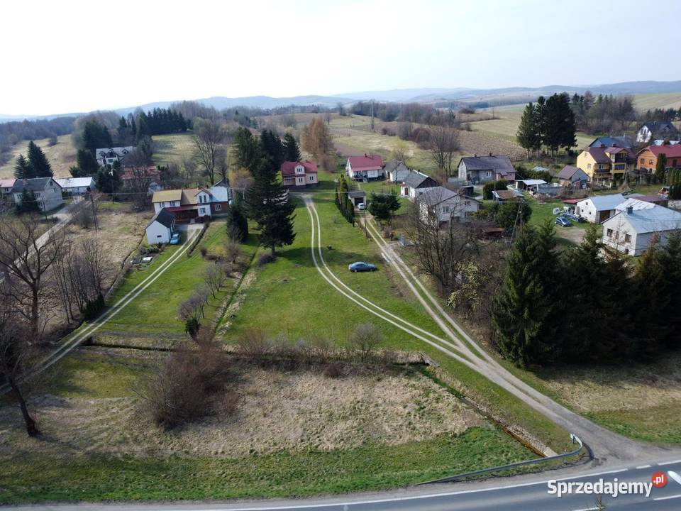 Dom murowany z dużą działką siedlisko w pobliżu Pisarowce sprzedam