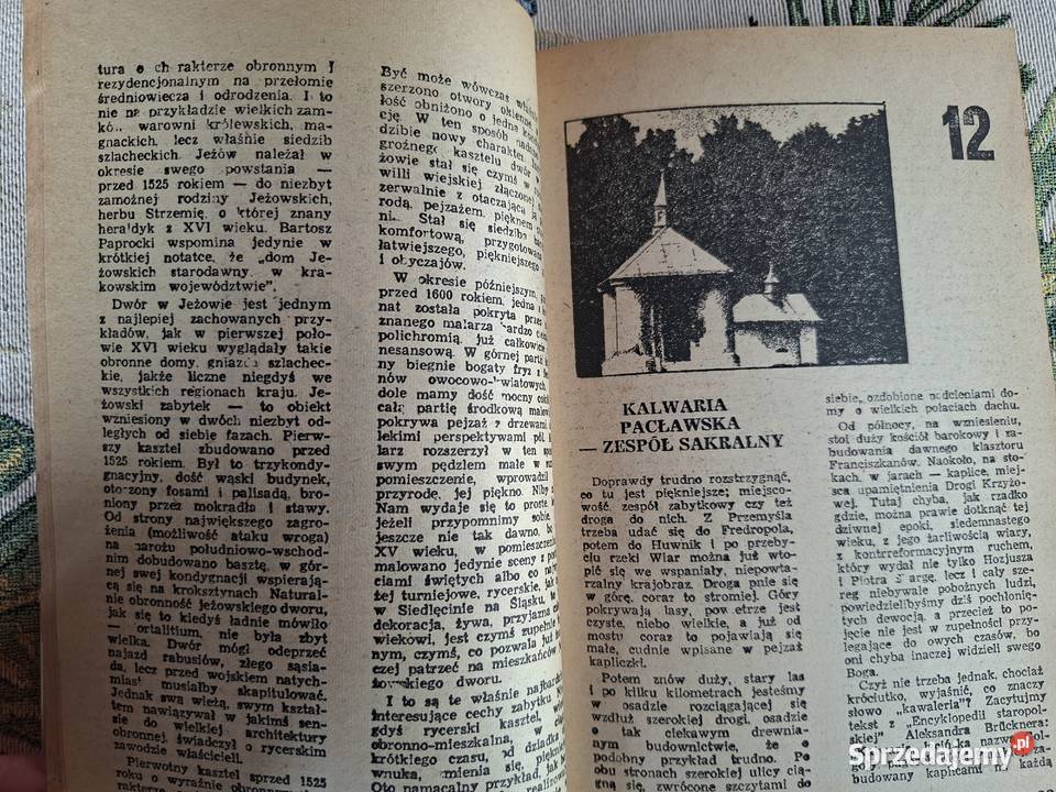Znane i nieznane zamki pałace kościoły Tomasz Mapy i przewodniki Kraków