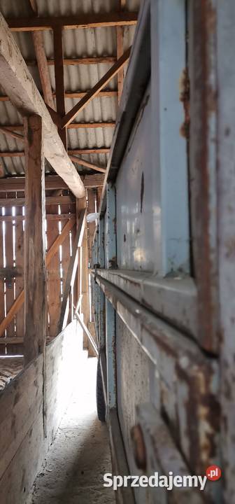 Przyczepa rolnicza 8 t Piaski