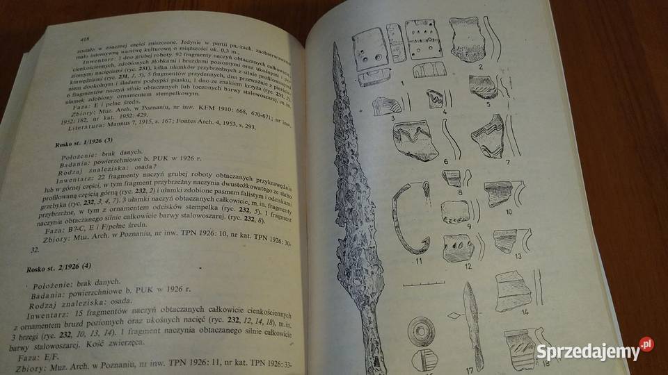 Studia i materiały do osadnictwa Wielkopolski Gdańsk