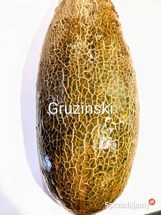 Ogórek rosyjski Wrzesień Wierasen Nasiona Kraków sprzedam