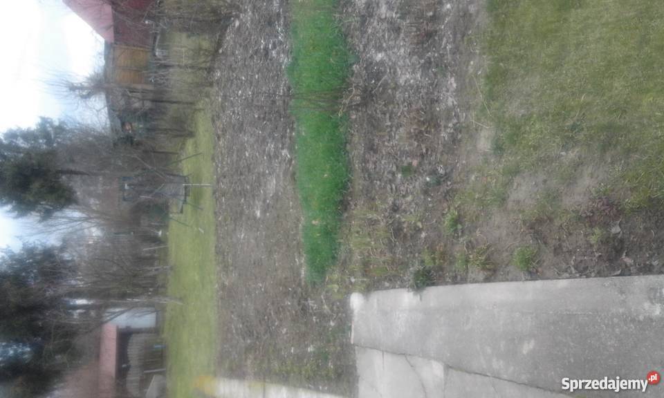 Sprzedam działkę w ogródkach dzialkowych Kraków