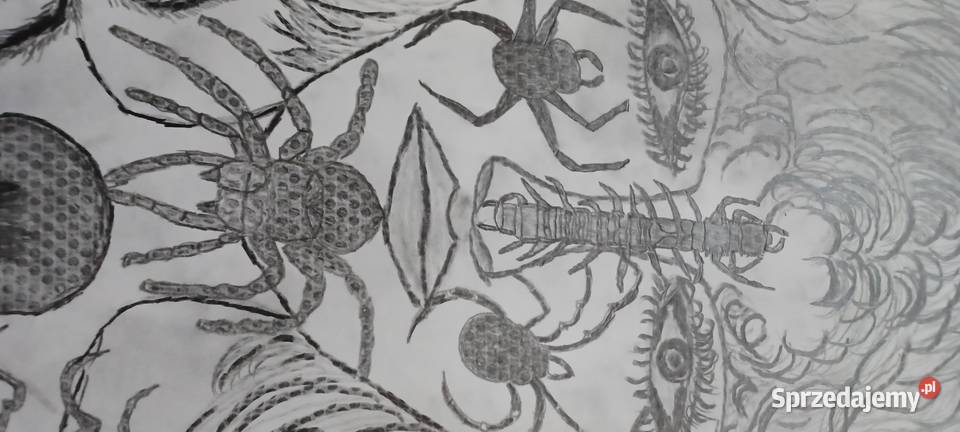 rysunek ołówkami surrealistyczny mroczny wielkopolskie Poznań