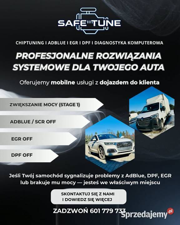 Usuwanie naprawa Adblue EGR DPF osobowe i Warszawa
