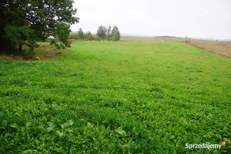 Działki budowlane na Mazurach Sprzedaż Kętrzyn