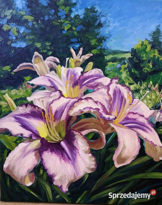 Obraz olejny liliowce kwiaty ogród Wojaszówka sprzedam