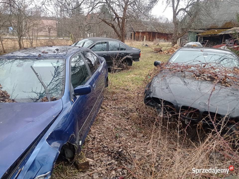BMW E39 na części Wola Zagrodnia