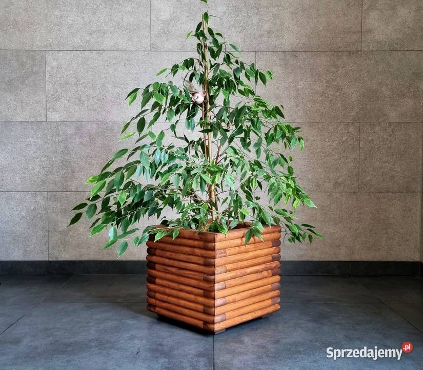 Donica drewniana 3D nowoczesna industrialna Kalety sprzedam