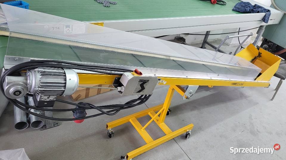 Taśmociąg prosty 300 x 30 przenośnik taśmowy z Produkcja Białogard