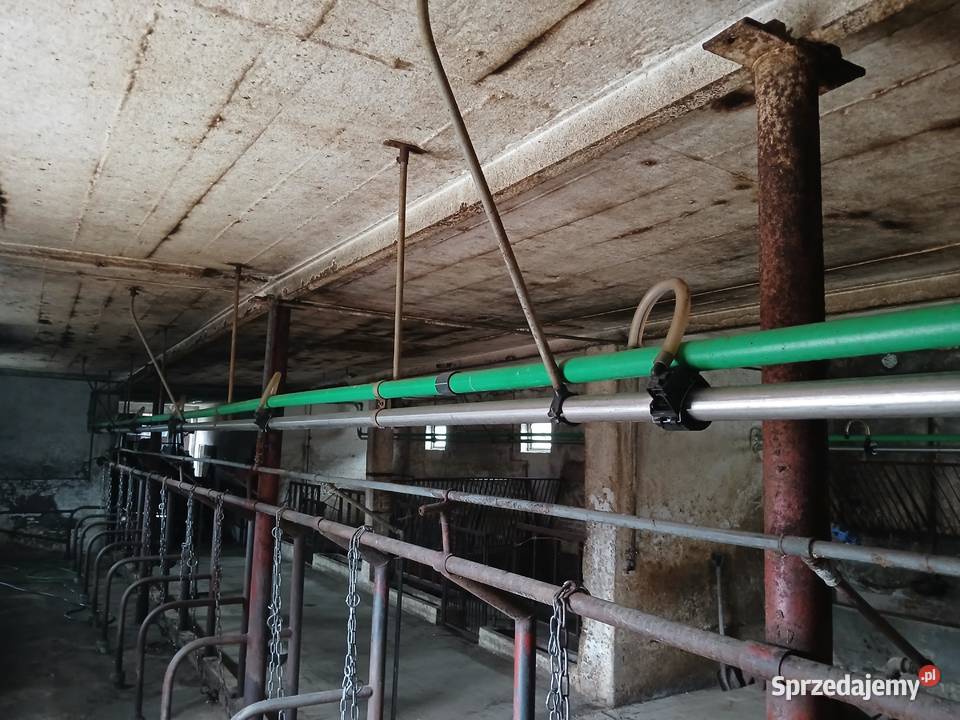 Dojarka przewodowa rurociągowa GEA Likwidacja Ciechanowiec