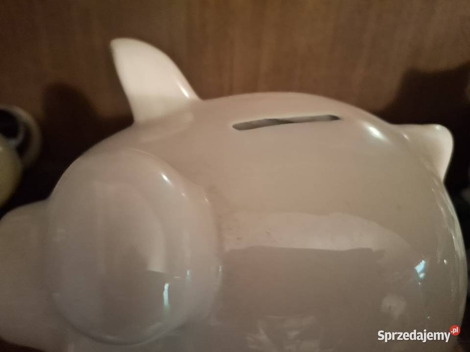 Skarbonka duża Świnka Warszawa