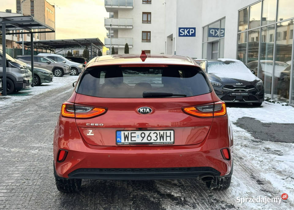 Kia Nowy Ceed 14 TGDI 140 Business Line kujawsko-pomorskie Toruń