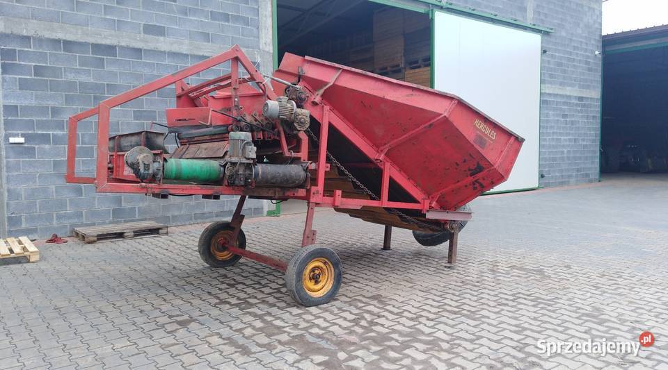 Kosz przyjęciowy do warzyw świętokrzyskie