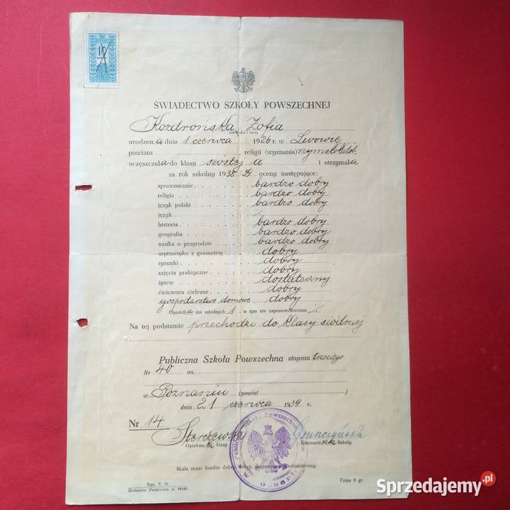 1260 Świadectwo Szkoły Powszechnej Szczecin