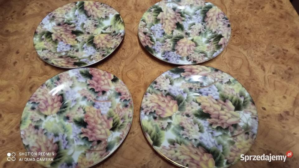 4 ładne talerze z porcelany Affek 2 białe daję Wrocław