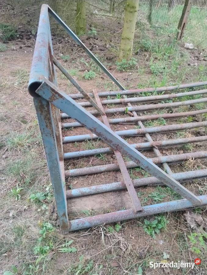 Widły do gałęzi Ożarów