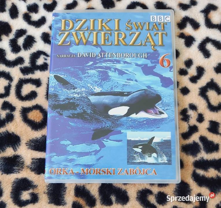 Dziki świat zwierząt BBC Lew Goryl Orka i inne Kraków