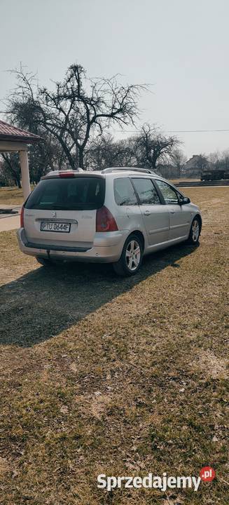Peugeot 307 bogata wersja wielkopolskie Turek