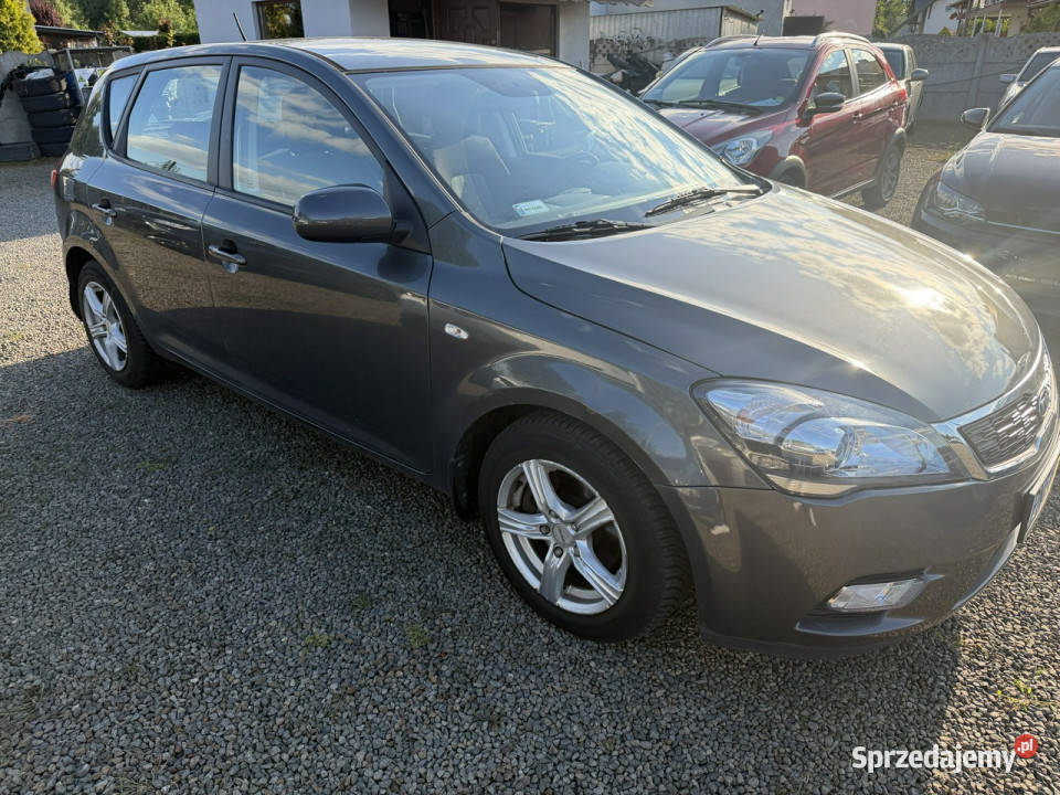 Kia Ceed Klima gwarancja 90 I 20062012 Zbąszyń