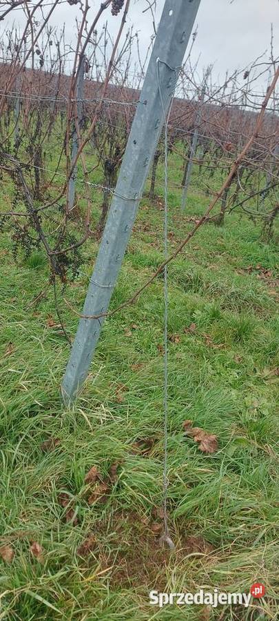 Kotwy Ocynkowane Wkręcane Do Ziemi Zamość