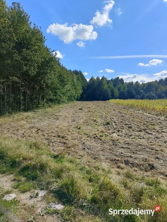 Działka rolna rekreacyjna budowlana Podwody-Kolonia