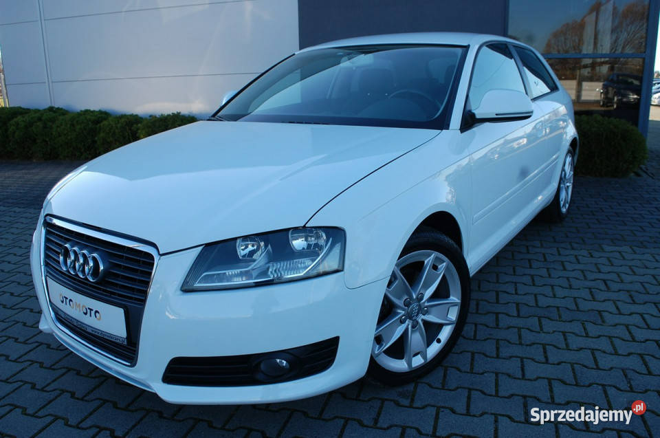 Audi A3 Automat 8P 20032012 biały