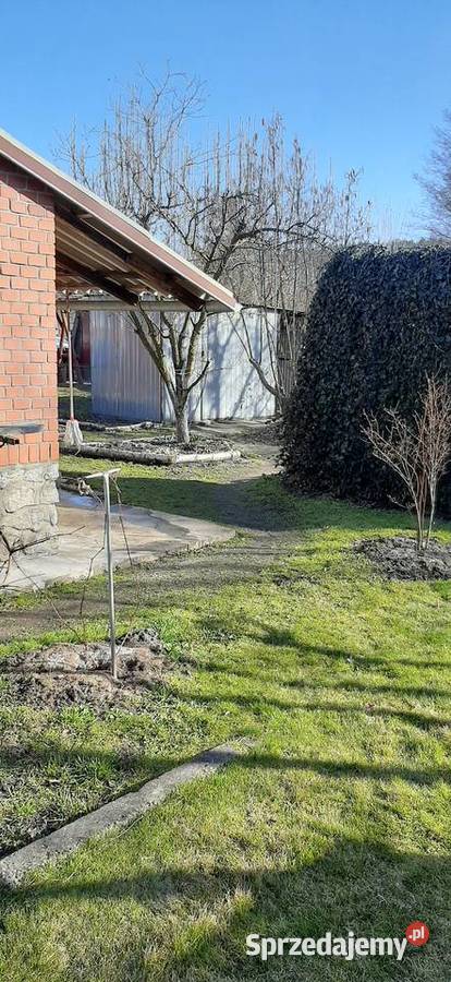sprzedam działkę na Kamionce w Tarnobrzegu ROD podkarpackie Tarnobrzeg