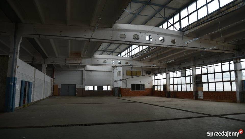 Hala magazynowo produkcyjna Prusice 8 PLNm2 p-poż dolnośląskie Prusice