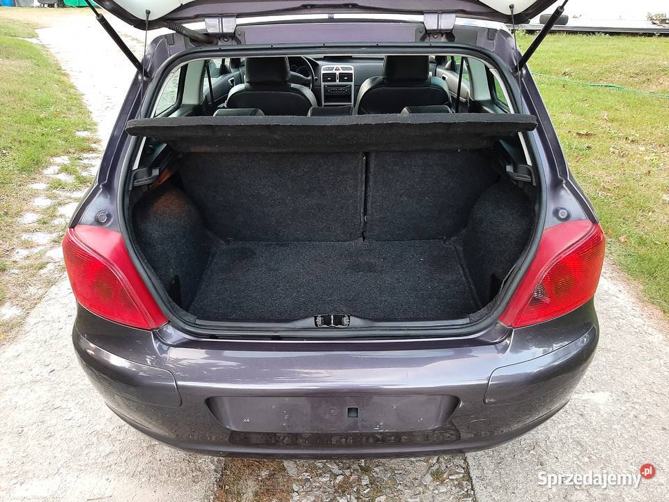 Peugeot 307 Sport S16 20 140 2002 Alu 17 Sprawny Nałęczów