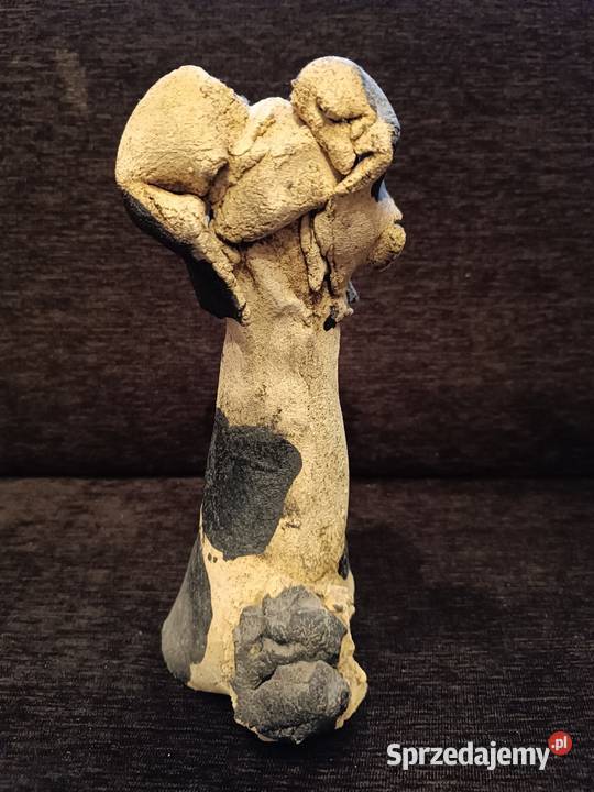 Kolekcjonerska duża figurka psa Fox terrier Szczyrk sprzedam