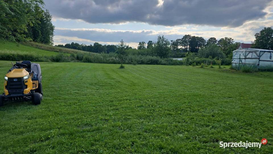 Usługi koszenia trawników warmińsko-mazurskie Mrągowo sprzedam