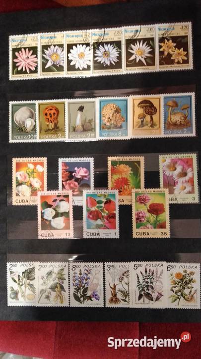 Znaczki pocztowe małopolskie