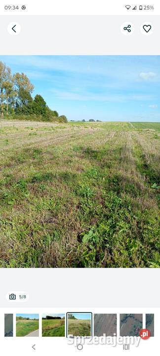 Grunty rolne 65 ha
