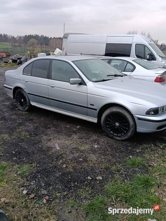 BMW e39 sprzedaż Seria 5 pomorskie Sztumskie Pole