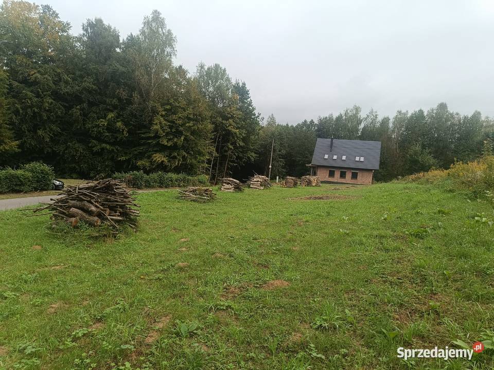 Sprzedam działkę 10 ar z WZ Brzezówka gm Hyżne sprzedam