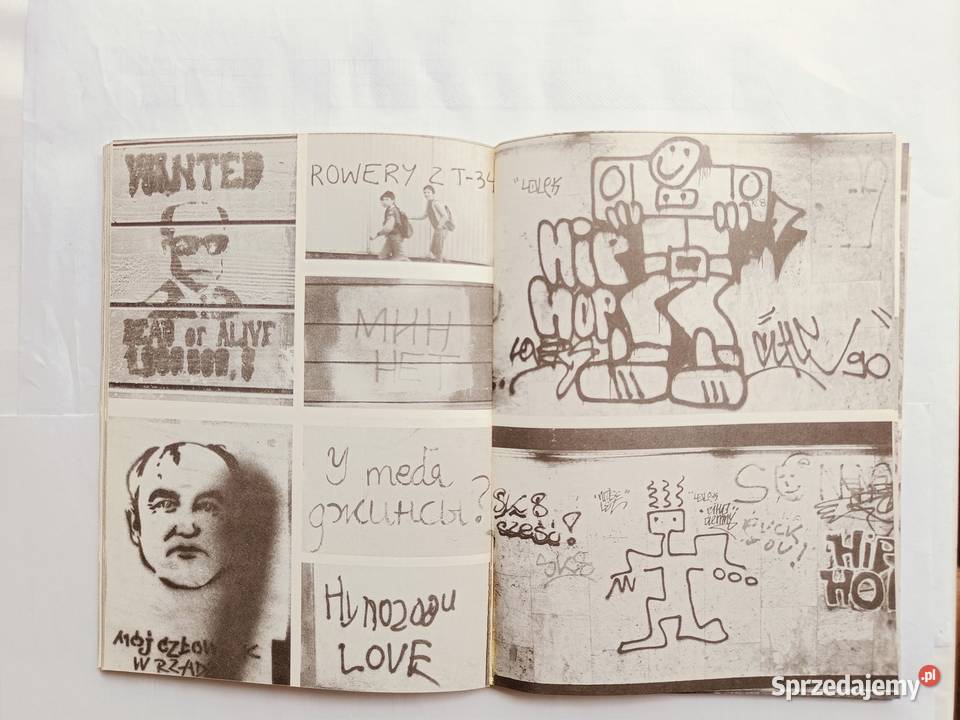 Polskie mury Graffiti sztuka czy wandalizm album Gdynia
