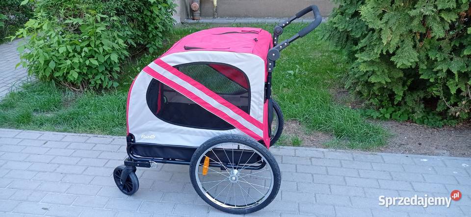 Wózek psa wielkopolskie Poznań