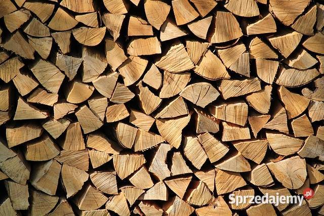Drewno kominkowoopałowe 250 z Poznań